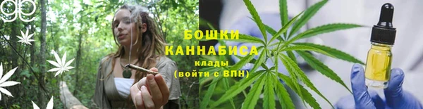 гидропоника Богородицк