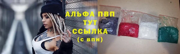 дурь Богданович