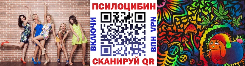 Галлюциногенные грибы Psilocybe Кущёвская